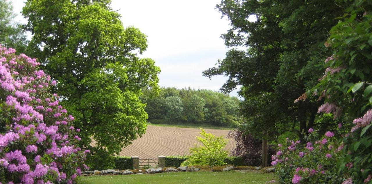 Ballydugan Country House Downpatrick Exterior photo