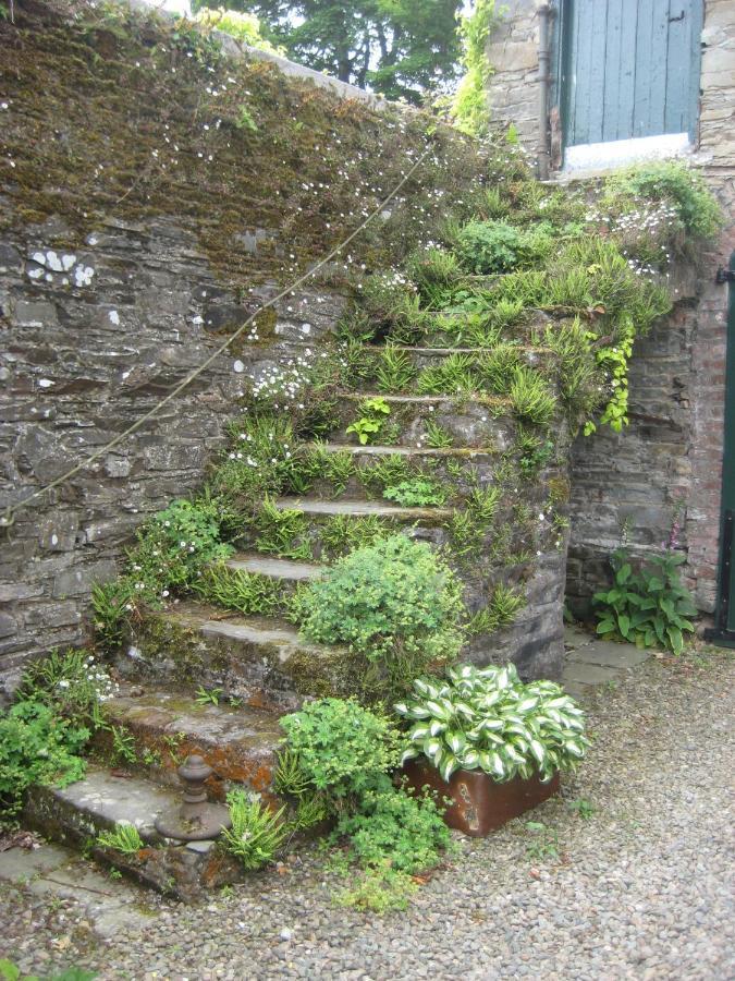 Ballydugan Country House Downpatrick Exterior photo